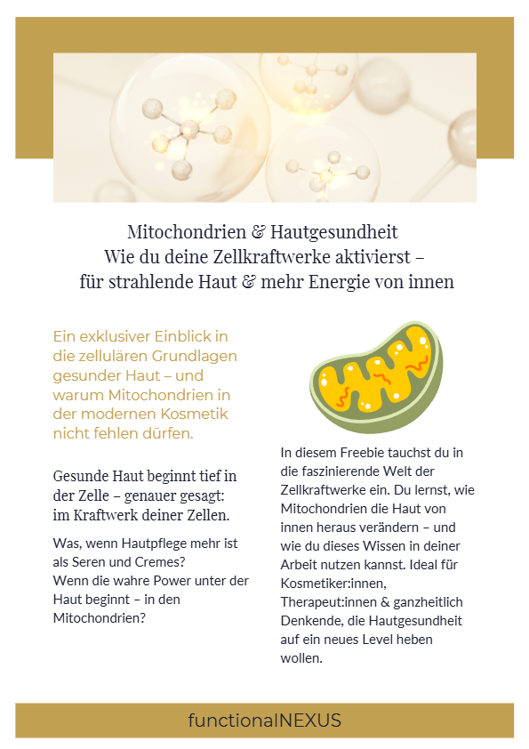 Mitochondrien & Hautgesundheit